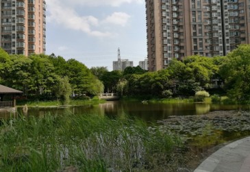 上海万科春申景城